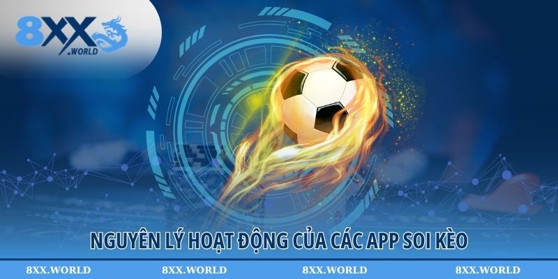 Nguyên lý hoạt động của các app soi kèo