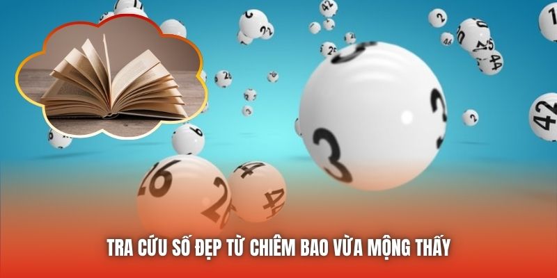 Tra cứu số đẹp từ chiêm bao vừa mộng thấy