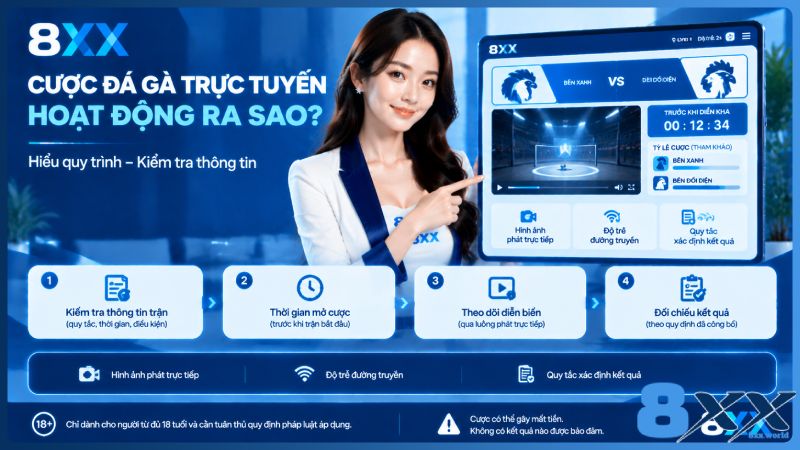 8XX minh họa cược đá gà trực tuyến hoạt động ra sao?