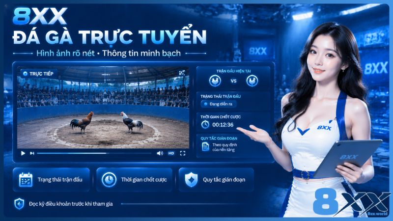 8XX minh họa đá gà trực tuyến