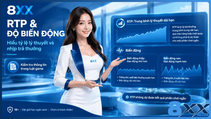 8XX minh họa rTP và độ biến động